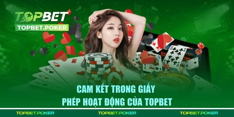 Cam kết hoạt động hợp pháp của nhà cái TOPBET 