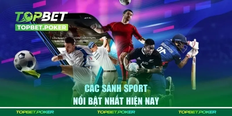 Điểm qua các sảnh sport nổi bật nhất hiện nay