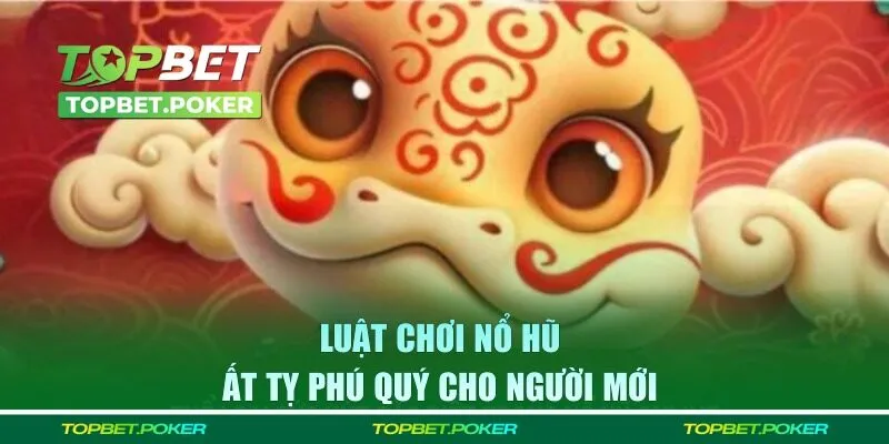 Luật chơi cơ bản cho người mới